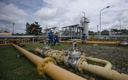 Mengenal Survei Seismik Dalam Eksplorasi Hulu Migas